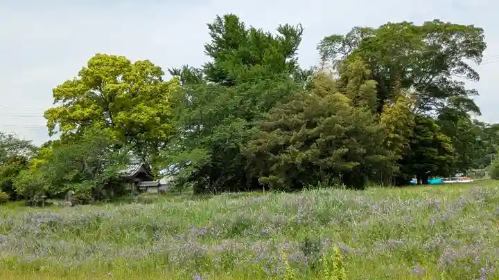 史跡 丹波国分寺跡 附 八幡神社跡(京都府)