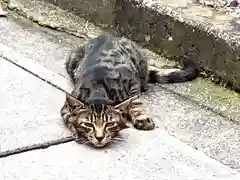 伊勢神社の動物