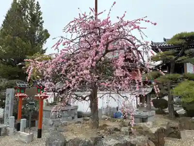 帝釈寺(大阪府)