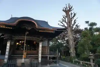 常性寺の本殿・本堂