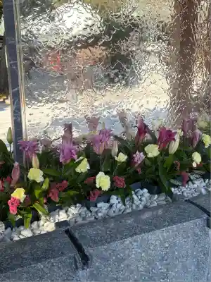 宮地嶽神社(福岡県)