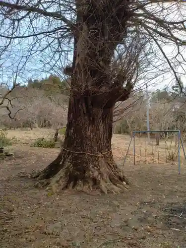 八雲神社（天王）(宮城県)