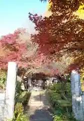 普濟寺の山門