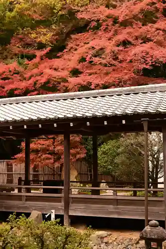 南禅寺(京都府)