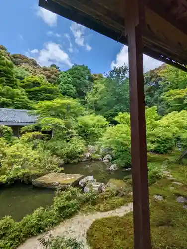 実相院門跡の庭園