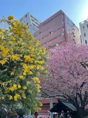 蔵前神社(東京都)