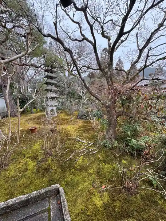 眞乘院(真乗院)(京都府)