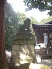 瀧樹神社の狛犬