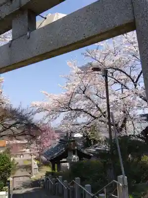 熊野神社(福井県)