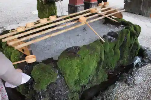 霧島神宮の手水舎