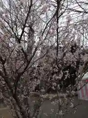 賀羅加波神社(広島県)