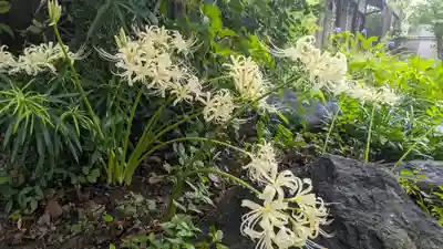 全興寺(大阪府)