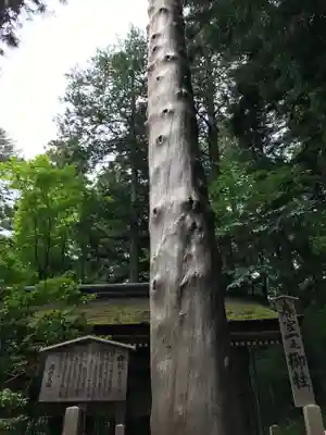 諏訪大社下社春宮(長野県)