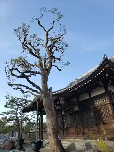 多聞院の本殿・本堂