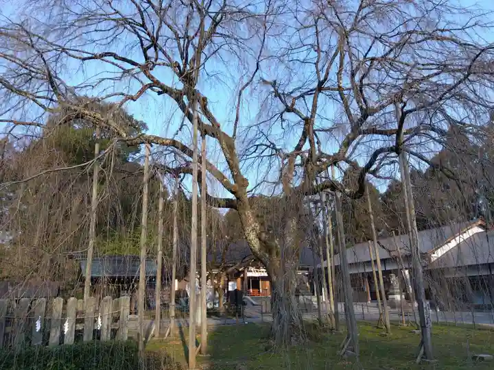 足羽神社(福井県)