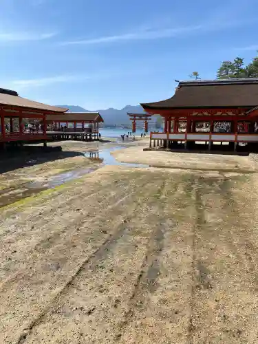 厳島神社の{uncategorized: "未分類", other: "その他", undefined: "問題あり", building: "その他建物", grave: "お墓", sacred_gate: "鳥居", guardian: "狛犬", statue: "像", buddha: "仏像", history: "歴史", nature: "自然", garden: "庭園", animal: "動物", pagoda: "塔", temizu: "手水舎", mountain_gate: "山門・神門", sanctuary: "本殿・本堂", subordinate: "末社・摂社", art: "芸術", scenery: "景色", jizo: "地蔵", ema: "絵馬", goshuin: "御朱印", omikuji: "おみくじ", items: "授与品その他", amulet: "お守り", goshuincho: "御朱印帳", eats: "食事", festival: "お祭り", votive_dance: "神楽", shichigosan: "七五三参", wedding: "結婚式", experience: "体験その他", initially: "初詣", around: "周辺", anti_infection: "感染症対策"}