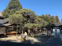 甲斐國一宮 浅間神社(山梨県)