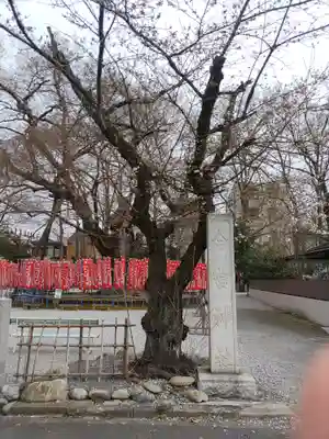 秩父今宮神社(埼玉県)