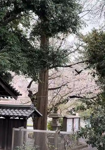 明王院（満願寺別院）(東京都)