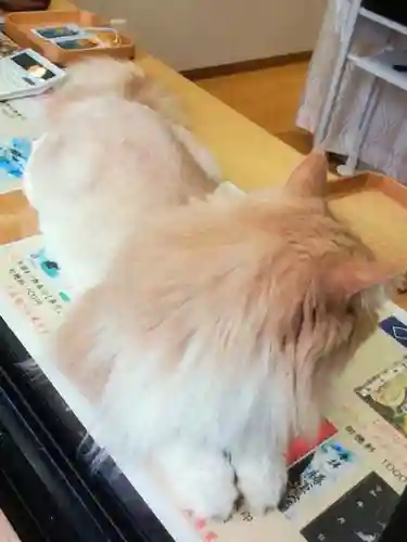 駒込妙義神社(東京都)