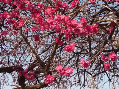 宗仲寺(神奈川県)