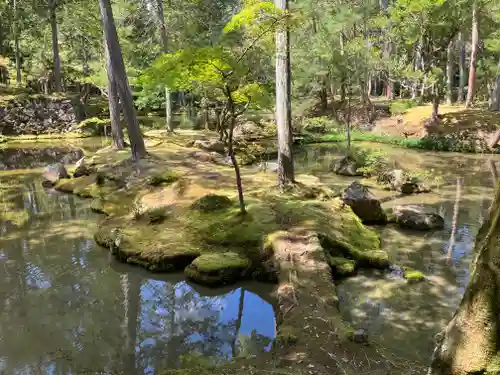 西芳寺(京都府)