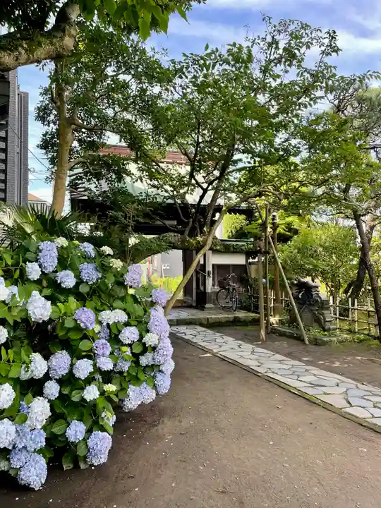 教恩寺(神奈川県)