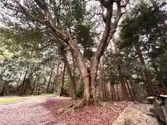 當麻山口神社の自然