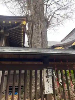 麻賀多神社(千葉県)