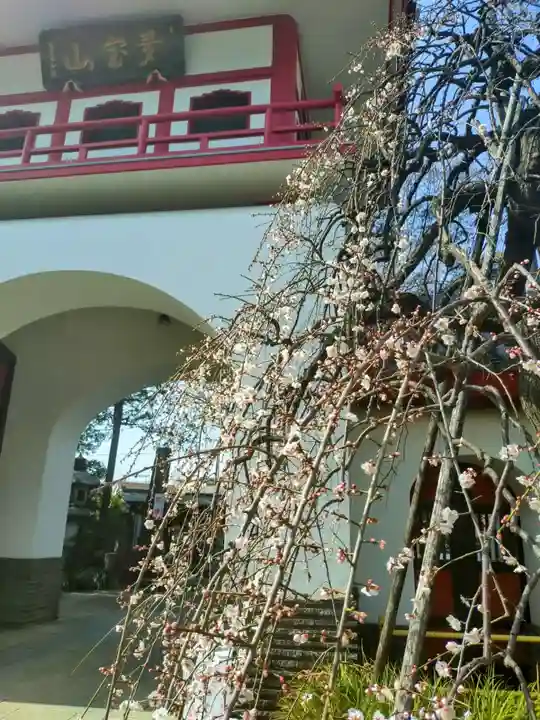 成願寺(東京都)