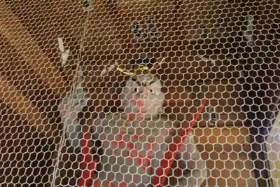 清水寺(千葉県)