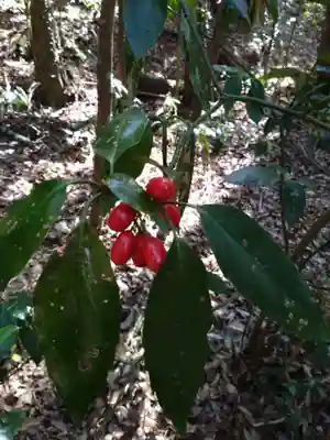 槵觸神社(宮崎県)