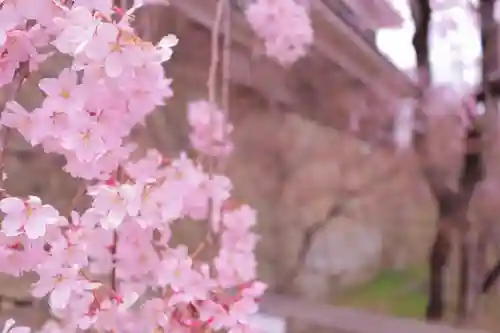 眞田神社の自然