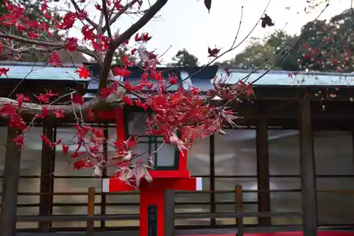 大原野神社(京都府)