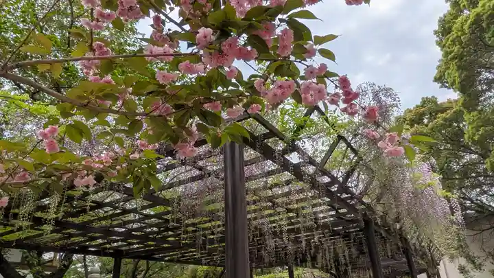 葛井寺(大阪府)