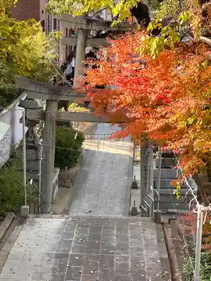 春日神社(福岡県)