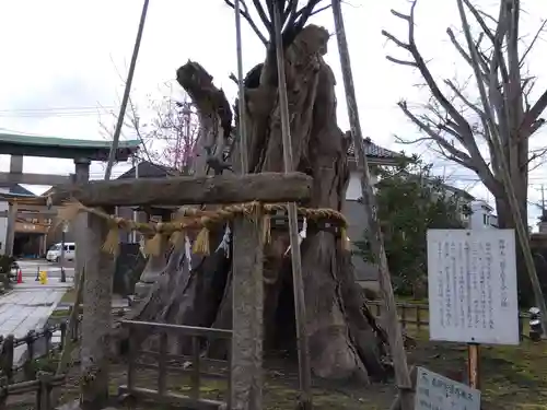 有礒正八幡宮(富山県)