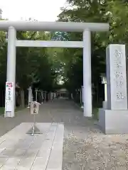 新琴似神社の鳥居