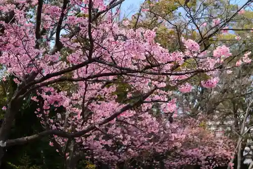 三津厳島神社(愛媛県)