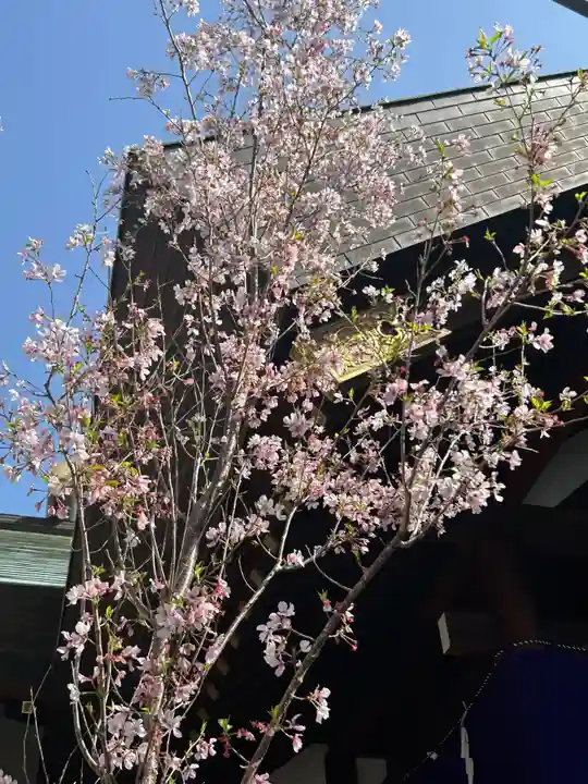 東京大神宮(東京都)