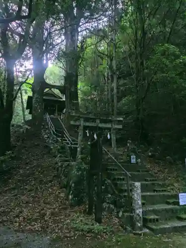 地主神社（桑の川の鳥居杉）(高知県)