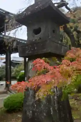 豪徳寺(東京都)