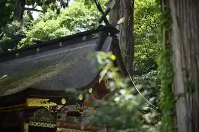 鹿島神宮(茨城県)