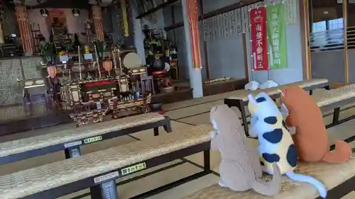 教信寺の本殿・本堂