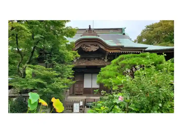 妙法寺の御朱印