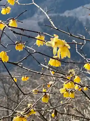 宝登山神社奥宮(埼玉県)