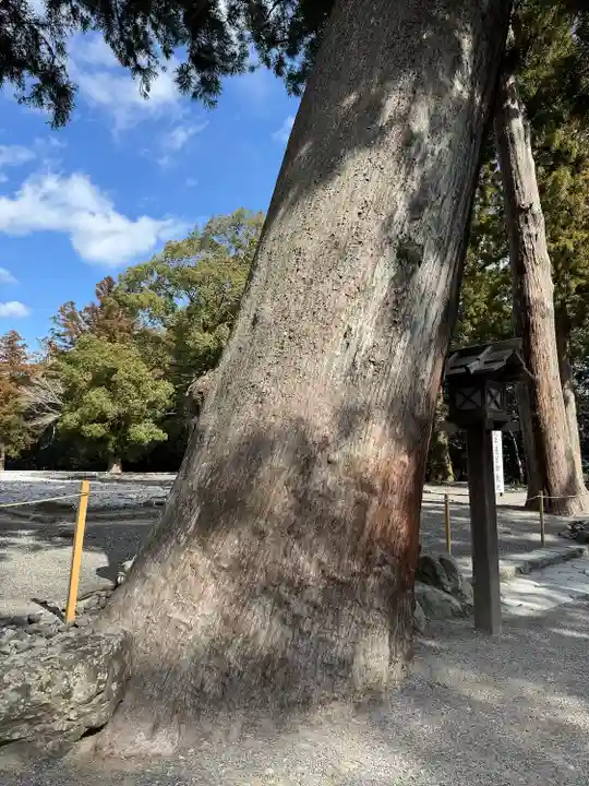 伊勢神宮外宮(豊受大神宮)(三重県)