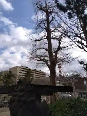 福井神社(福井県)