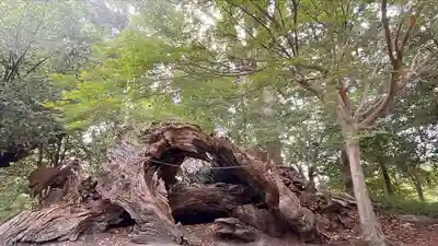 與止日女神社(佐賀県)