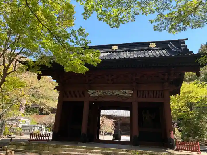 妙本寺の{uncategorized: "未分類", other: "その他", undefined: "問題あり", building: "その他建物", grave: "お墓", sacred_gate: "鳥居", guardian: "狛犬", statue: "像", buddha: "仏像", history: "歴史", nature: "自然", garden: "庭園", animal: "動物", pagoda: "塔", temizu: "手水舎", mountain_gate: "山門・神門", sanctuary: "本殿・本堂", subordinate: "末社・摂社", art: "芸術", scenery: "景色", jizo: "地蔵", ema: "絵馬", goshuin: "御朱印", omikuji: "おみくじ", items: "授与品その他", amulet: "お守り", goshuincho: "御朱印帳", eats: "食事", festival: "お祭り", votive_dance: "神楽", shichigosan: "七五三参", wedding: "結婚式", experience: "体験その他", initially: "初詣", around: "周辺", anti_infection: "感染症対策"}